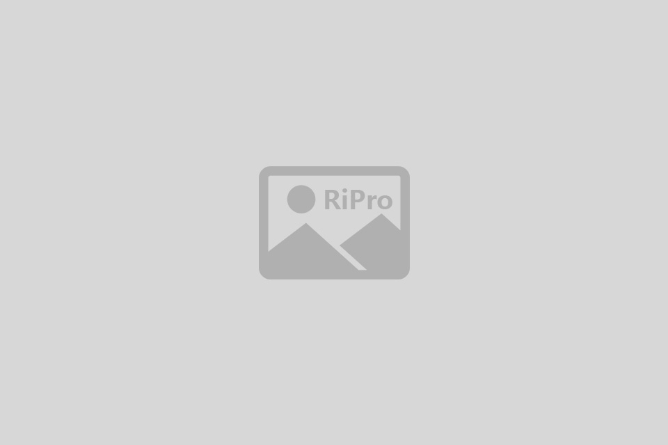 非洲|Tanzania Company Certificate Of Registration坦桑尼亚公司登记证pdf模板