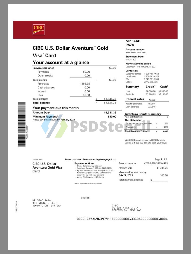 加拿大帝国商业银行CIBC Bank Gold Visa Card Statement银行信用卡账单/KYC地址证明pdf模板