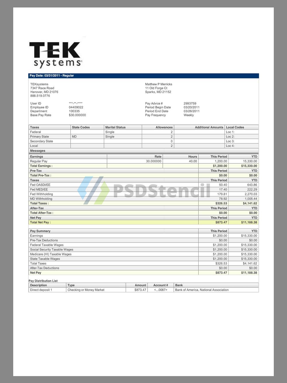 TekSystems Paystub template IT外包公司收入证明/工资账单PDF模板