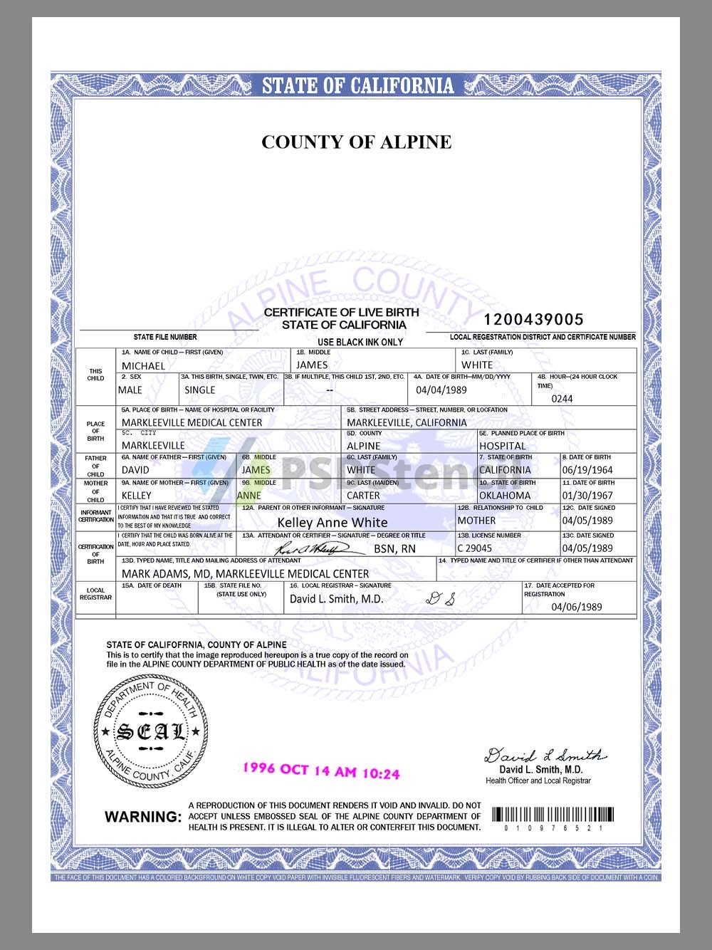 USA California Alpine County Birth Certificate美国加州出生证明word模板